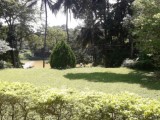 KANDY BUNGALOW FOR SALE