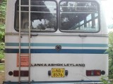 Ashok Leyland Bus 2011