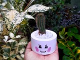Cute Cactus pots