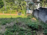 Highly residential land