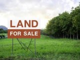 Land For Sale Nalluruwa