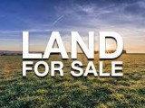 Land For Sale in Nalluruwa
