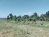 Land For Sale in Mattala