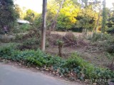 Land For Sale in Dalupatha