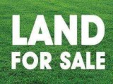 Homagama Panagoda Land for selling