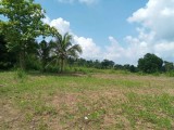 Land For Sale in  Mahiyanganaya