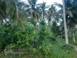 52 acres Land for selling from Negombo