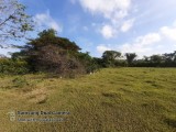 330 PERCHES LAND FOR SELLING