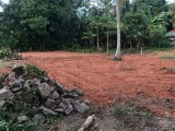 24 perches land for selling ,Negombo ,Diulapitiya