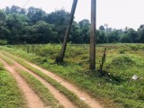 Land For Sale in Waliweriya