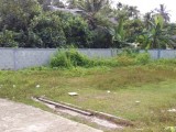 Land For Sale in Wekada