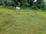LAND FOR SELLING FROM HORANA