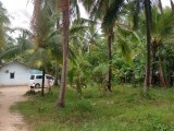 Coconut estate for selling from Wariyapola