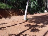 Land for selling from Ragama