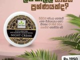 Gluta Arbuteen pigmentation Night Cream