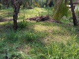 Land for selling from Kurunegala ,Kiriwaula,Meegolla