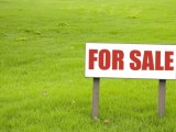 land for sale weligama