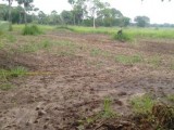 Land for sell in anuradhapura madawachchiya