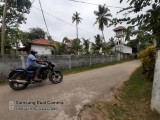 Land for selling Negombo