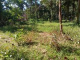 Land for sale Gampaha