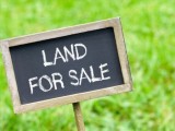 Land for selling in Negombo ,Rukkaththana Junction