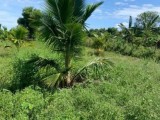 Land For sale in Tangalla