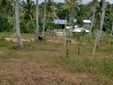 Land For sale in Kottawa