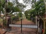 acres 50 ,Negombo House for selling