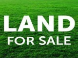 Land for sale Pelawatte