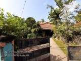 Commercial Property for selling Negombo Dalupatha