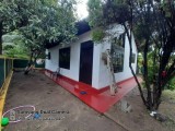 House for selling from Negombo -Dalupatha