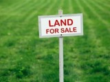 land for sale හොමාගම