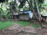Land for selling from Negombo,SriLanka