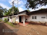 Two houses together for selling from Negombo