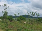 Land for sale Mahiyanganaya