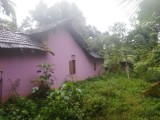 Old House with Land for Sale Pugoda