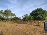 Land for selling from Katharagama,  Moneragala ,SriLanka