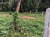 Land for sale in Oruthota,Gampaha