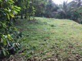 Land For sale in Katugasthota