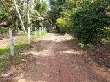 Land for selling from Minuwangoda,SriLanka