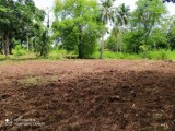 Land For Sale Puththalam