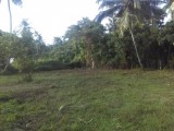 Land for selling from Kotugoda,Raja Mawatha SriLanka