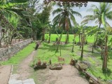 Land for selling from Ja Ela,SriLanka
