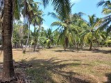 Land for sale in kurunagala