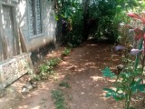 HOUSE FOR SALE පිටිපන