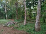 Land for sale waligama