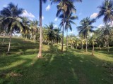 Land For Sale Walasmulla