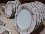Porcelain Platescup and saucers in various designs