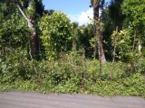 Land for sale in waligama