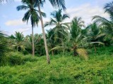 Land For Sale Walasmulla